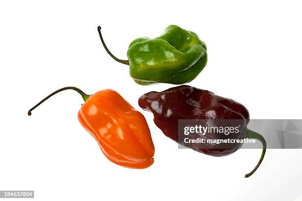 the three habañeros - habanero stock pictures, royalty-free photos & images