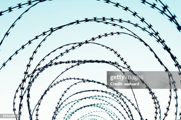 barbed metal fence - dictator stock pictures, royalty-free photos & images