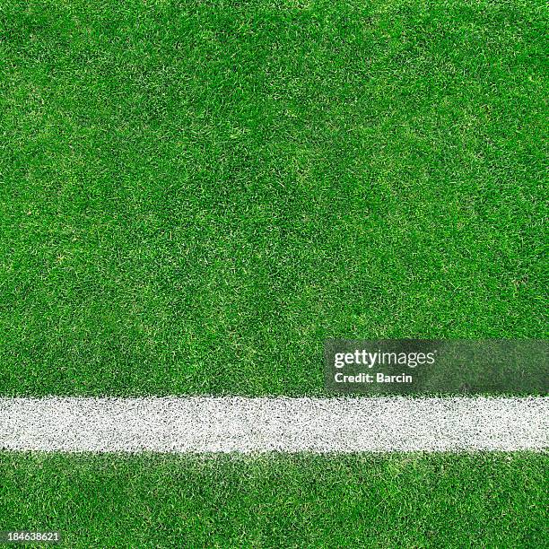 soccer field - football field bildbanksfoton och bilder