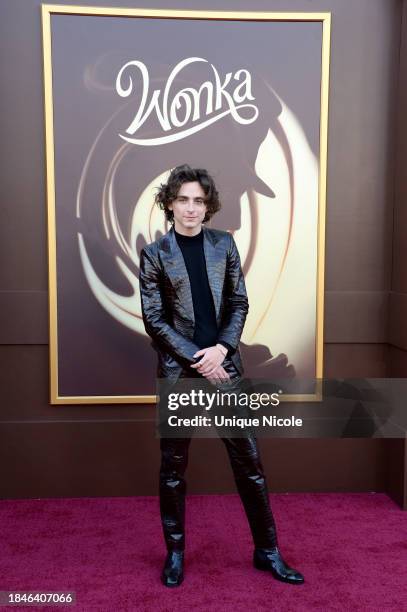 Timothée Chalamet attends Los Angeles Premiere Of Warner Bros. "Wonka" at Regency Village Theatre on December 10, 2023 in Los Angeles, California.