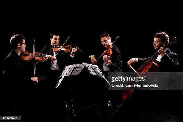 quarteto de cordas - classical musician - fotografias e filmes do acervo