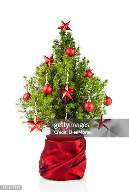 christmas tree - christmas tree isolated stock pictures, royalty-free photos & images