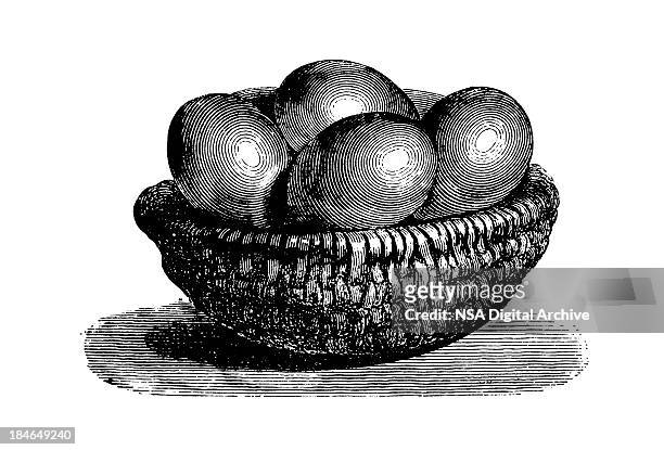 wicker bowl with eggs | antique culinary illustrations - wicker stock illustrations