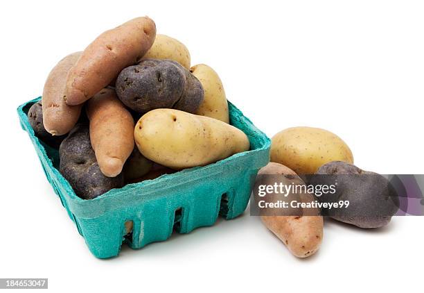 mixed fingerling potatoes - fingerling potato stock pictures, royalty-free photos & images