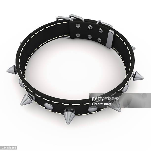 spiked dog collar - collar stock pictures, royalty-free photos & images
