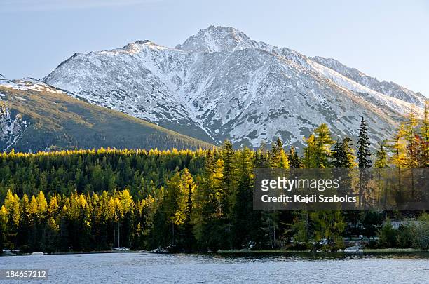 strbske pleso - mountain lake in morning - tatras slovakia stock pictures, royalty-free photos & images