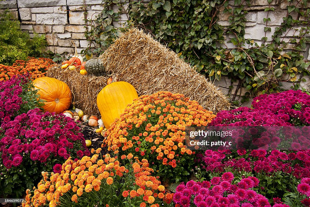Otoño Bounty