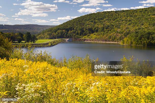 reservoir on summer afternoon - ambrosia stock pictures, royalty-free photos & images