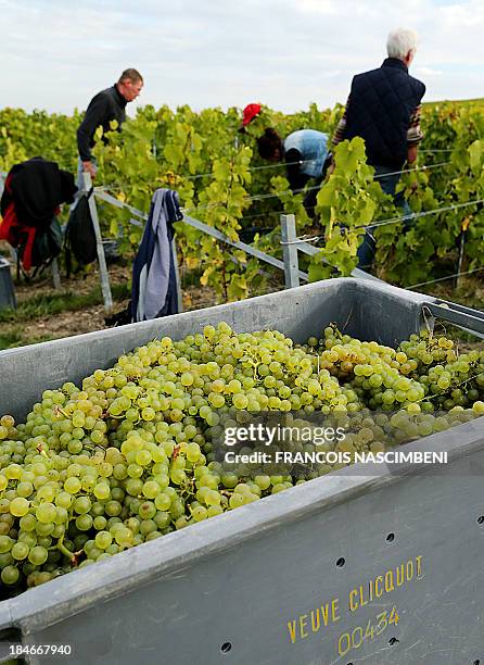 Veuve Clicquot Champagne House Photos and Premium High Res Pictures ...
