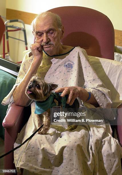 Three year-old Yorkshire Terrier Maggie visits patient Donald Marshall as part of Massachusetts General Hospital's pet therapy program March 13, 2003...