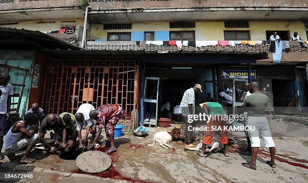 People immolate sheeps after the prayers as part of the Eid al Adha muslim festivies, on October 15, 2013 in Abidjan's popular neighbourhood of...