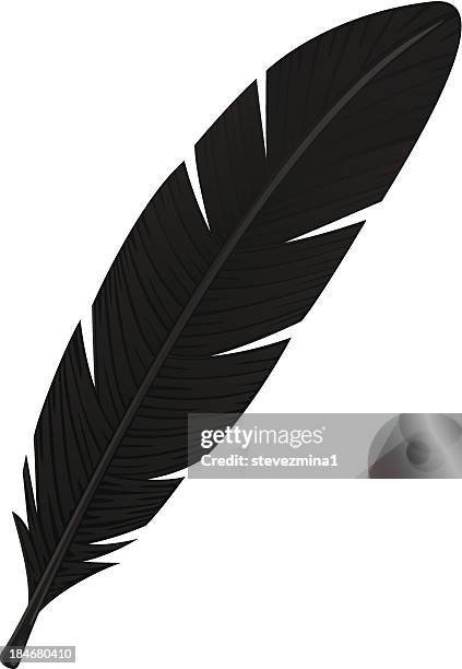 bildbanksillustrationer, clip art samt tecknat material och ikoner med black feather - feather