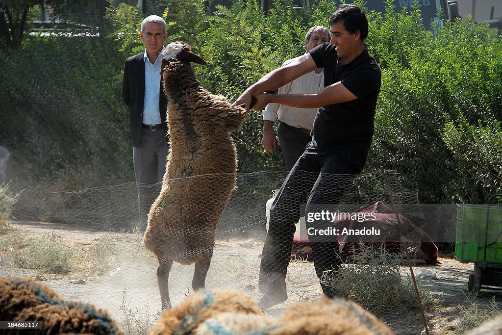 Eid al-Adha preparation in Iran