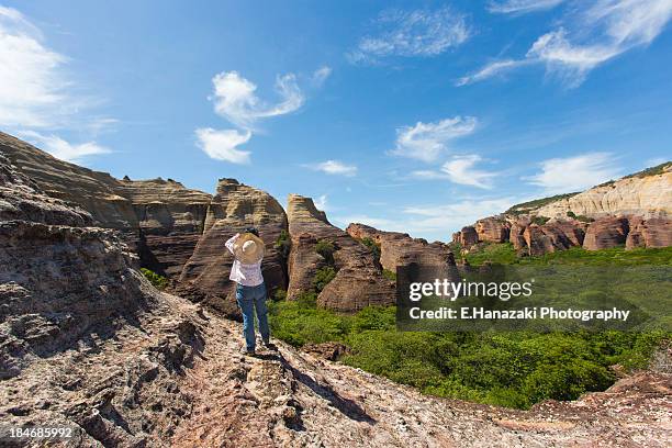 Cliffs In Brazil 3,932 Cliff Brazil Stock Photos, High-Res Pictures, and Images - Getty ...