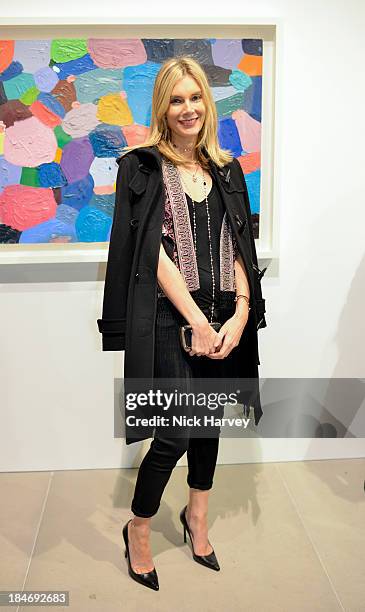 Kim Hersov attends the private view for Damien Hirst and Feliz Gonzalez-Torres' 'Candy' at Blain Southern on October 15, 2013 in London, England.