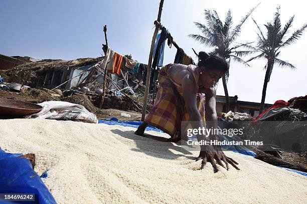 An Indian women drying the rice after Cyclone Phailin at the fishermen's village New Podampetta on October 15, 2013 about 190 kilometers south from...