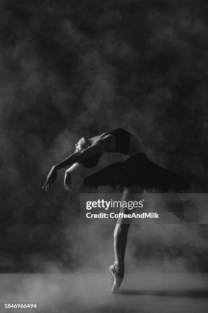 beauty of ballet. black and white photo - ballet dancers russia bildbanksfoton och bilder