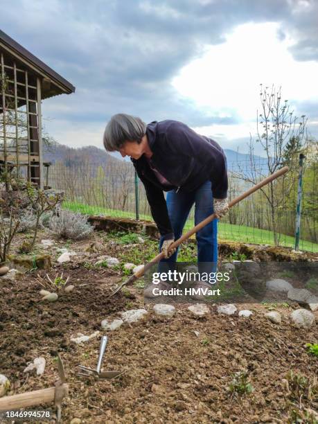senior woman digging the garden in spring - gardening fork stock pictures, royalty-free photos & images
