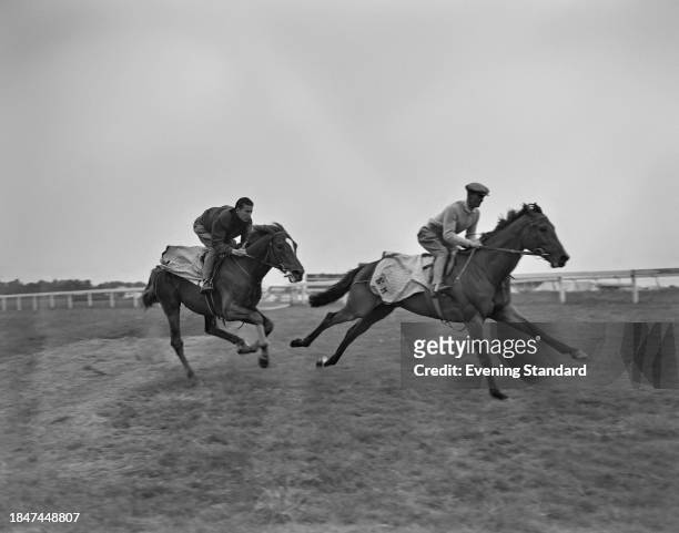 British thoroughbred racehorse Crepello, ridden by English jockey Lester Piggott , competing in and winning the Epsom Derby, June 5th 1957.