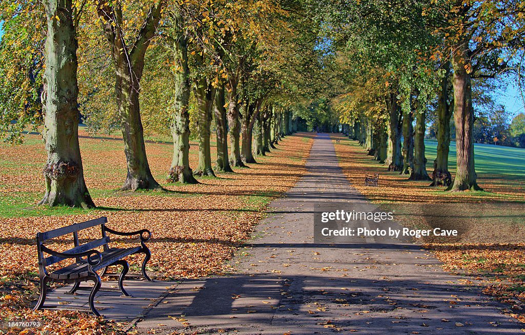 Rothamsted Park in Autumn