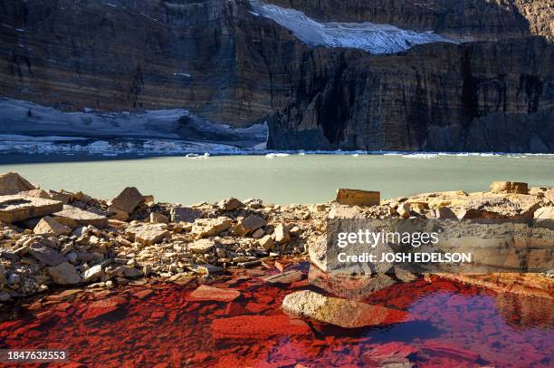 Crimson-colored puddle filled with melted "watermelon snow" in front of Upper Grinnell Lake, Grinnell Glacier and Salamander Glacier in Glacier...