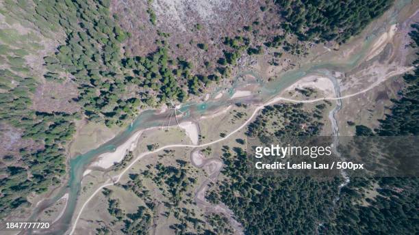 high angle view of road amidst trees - leslie stock pictures, royalty-free photos & images