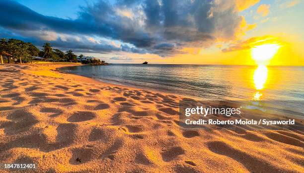 dramatic sunset over a golden sand beach - antilles stock pictures, royalty-free photos & images