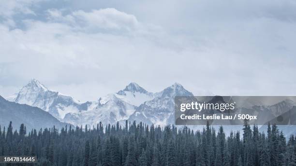 scenic view of snowcapped mountains against sky - leslie stock pictures, royalty-free photos & images