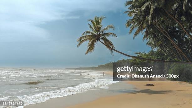 scenic view of beach against sky - dhanush_ stock pictures, royalty-free photos & images