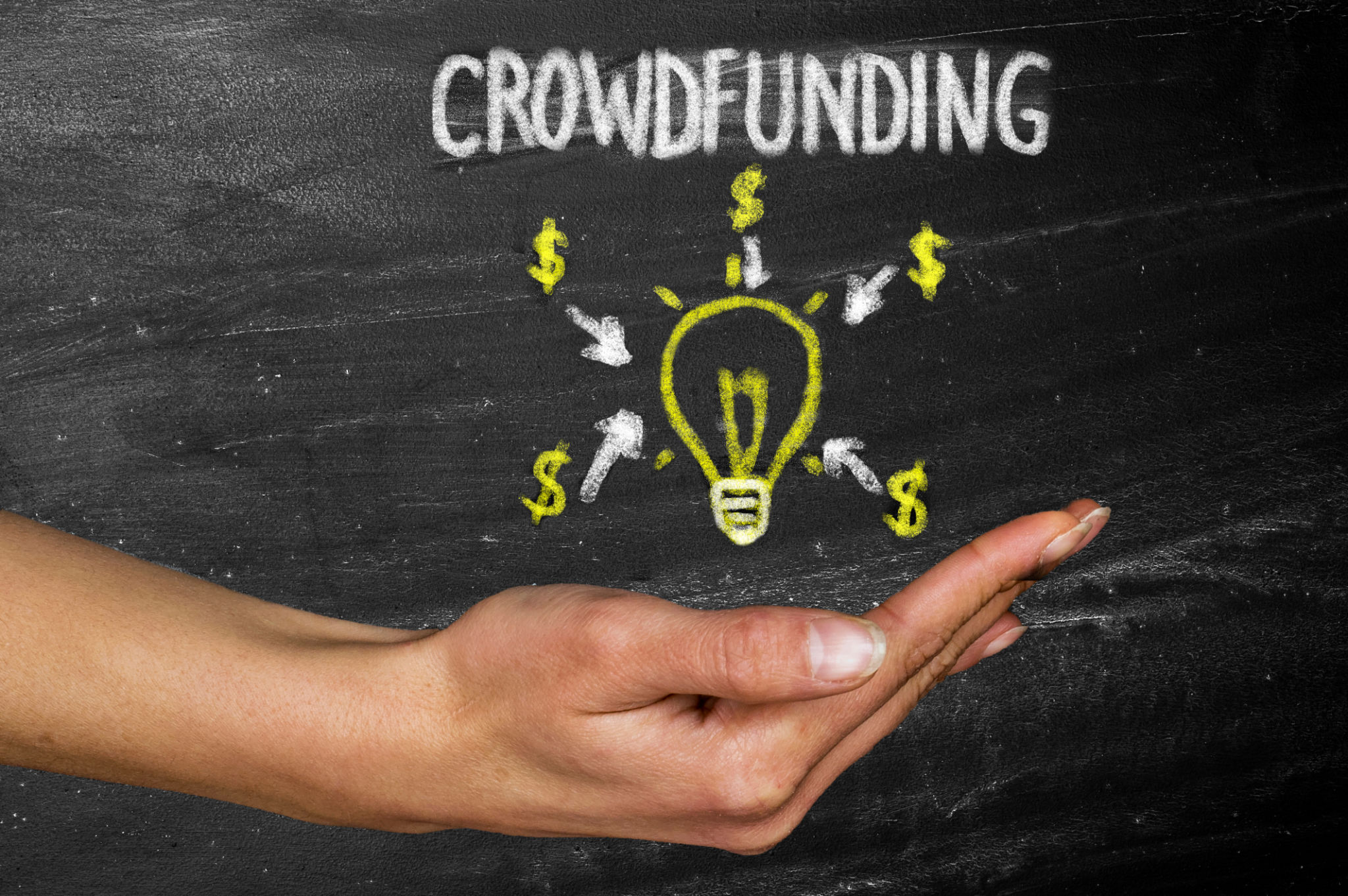 venture capital networking