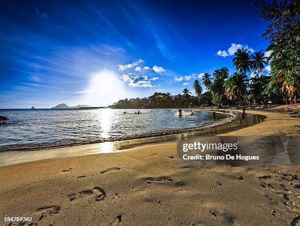anse figuier beach, martinique - martinique beach stock pictures, royalty-free photos & images