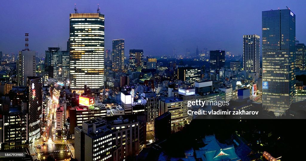 Night Tokyo panorama at rain