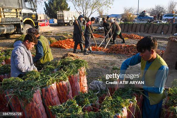 AFGHANISTAN-ECONOMY-AGRICULTURE