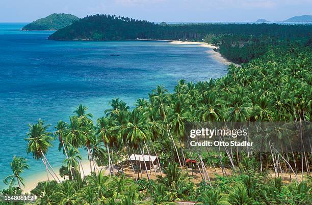 palm trees at ban taling ngam beach - strandhütte stock-fotos und bilder