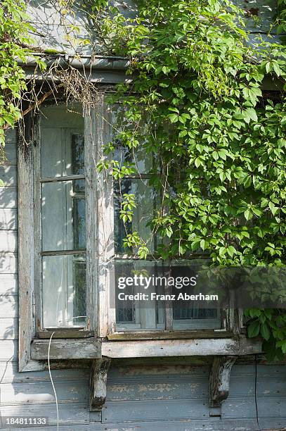 oriel window - bialowieza photos et images de collection