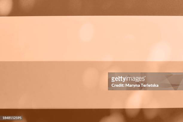 peach color is peach fuzz. peach background. - pride gradient stock pictures, royalty-free photos & images
