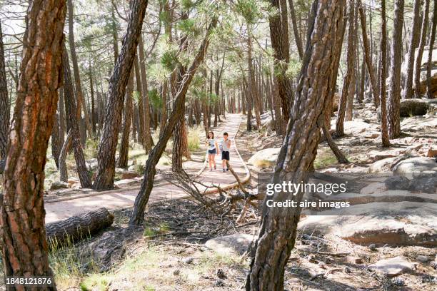 two children walking along a sidewalk in the middle of a forest eating snacks around many tall trees, the photo is illuminated by the sun rays. - albarracin stock pictures, royalty-free photos & images