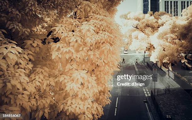 dreamy and slow-paced city - infrared stockfoto's en -beelden