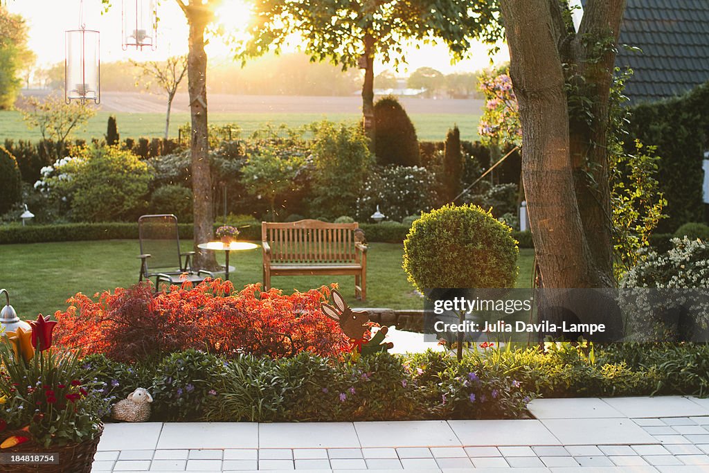 Garden in summer, at sunset