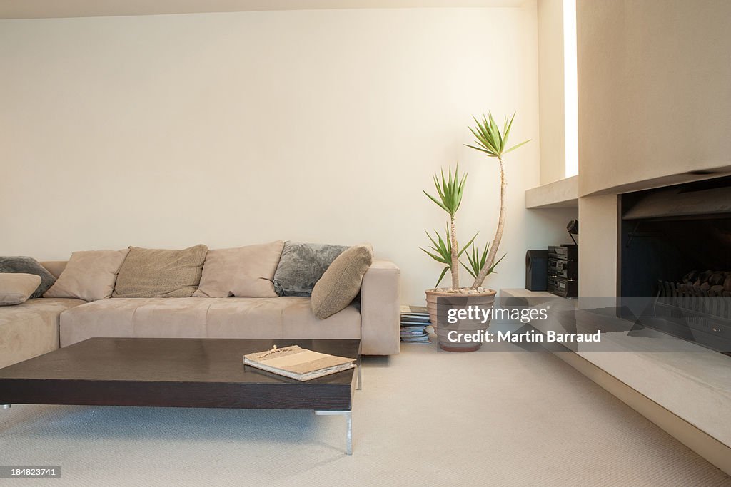 Modern living room with potted plant