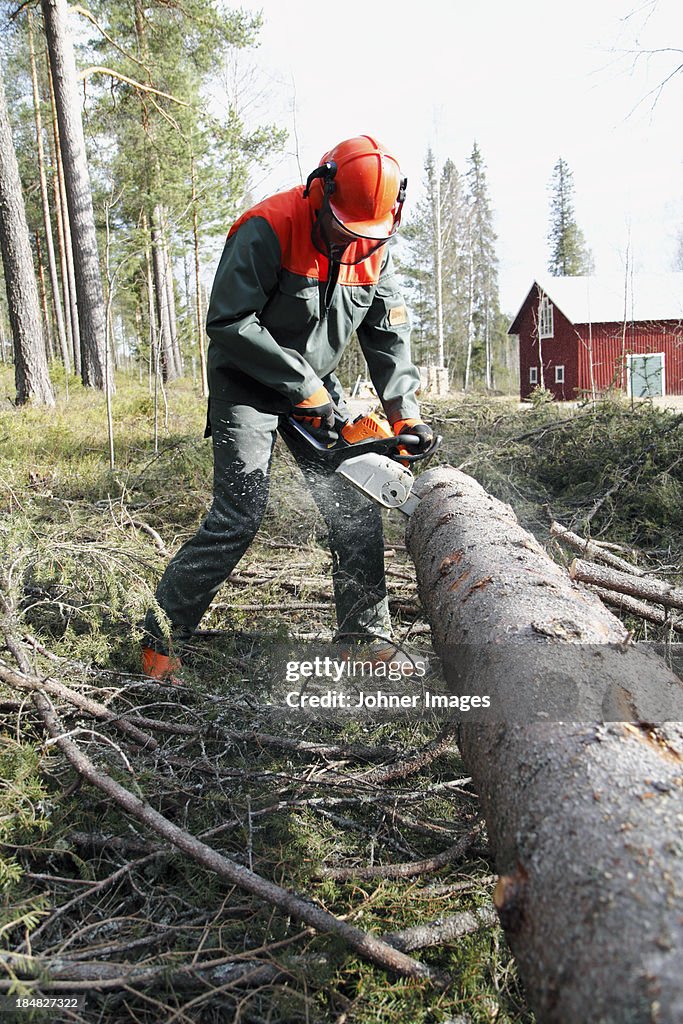 Man sawing tree