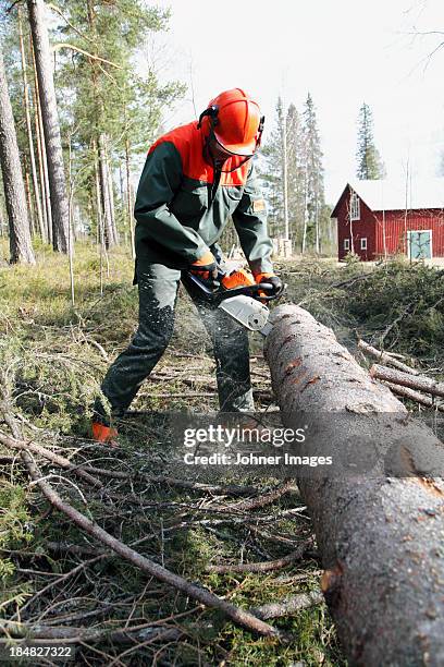 Logging Man Logging Safety Photos and Premium High Res Pictures - Getty Images