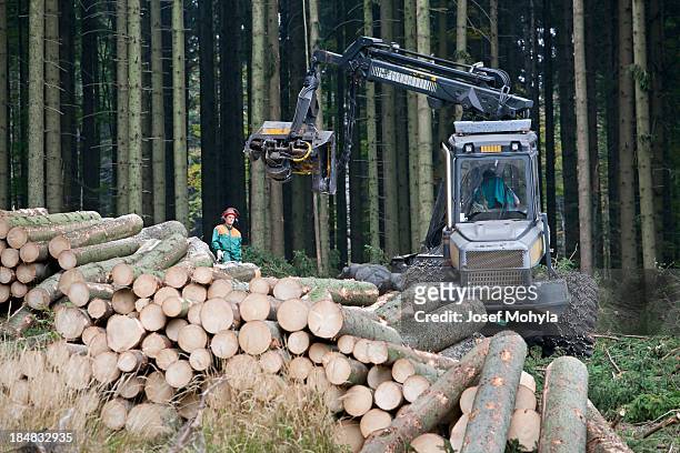feller buncher im wald - forest machine stock-fotos und bilder