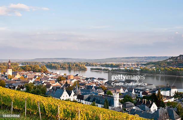 rudesheim in germany - rudesheim stock pictures, royalty-free photos & images