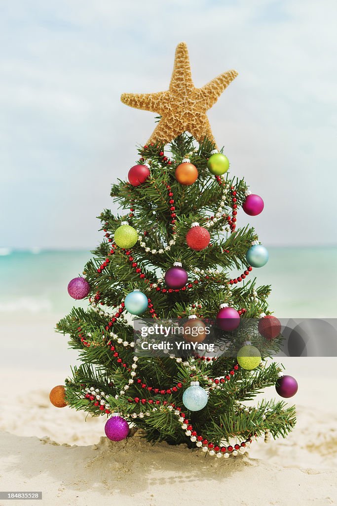 Christmas Tree on Tropical Caribbean White Sand Beach