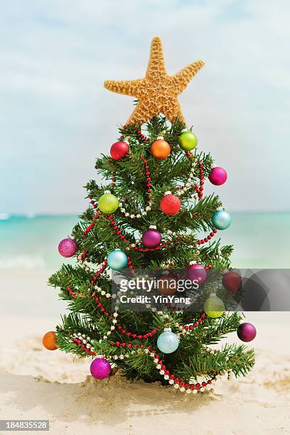 christmas tree on tropical caribbean white sand beach - caribbean christmas 個照片及圖片檔