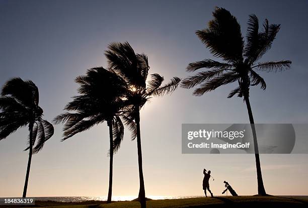 golfista senior en el trópico - bolsa de golf fotografías e imágenes de stock