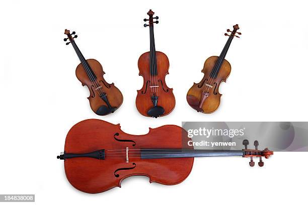 string quartet - violin family stock pictures, royalty-free photos & images