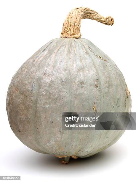 Hurbert Squash 65 Hubbard Squash Stock Photos, High-Res Pictures, and Images - Getty ...