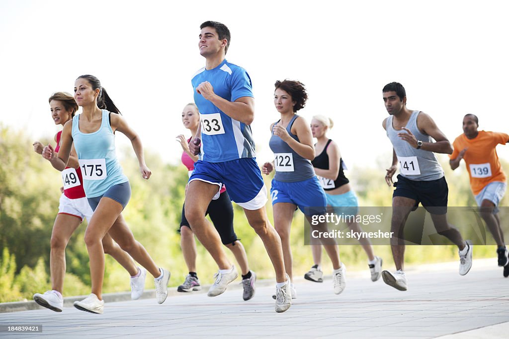 Group of runners in a cross country race.